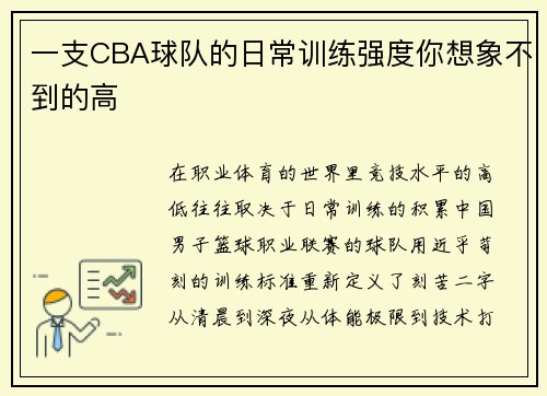 一支CBA球队的日常训练强度你想象不到的高